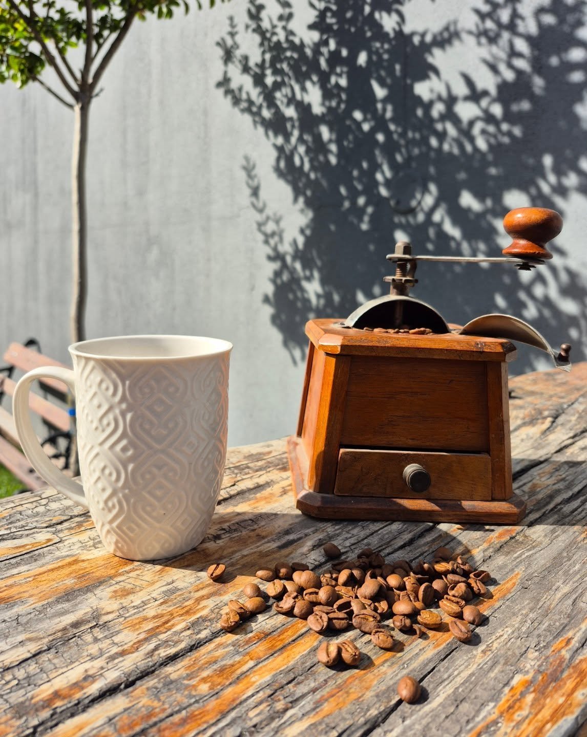 Publicación de Instagram JM Café de Origen